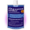 Fish & Seaweed Fertilizer (2-3-1) | All Purpose Liquid Plant