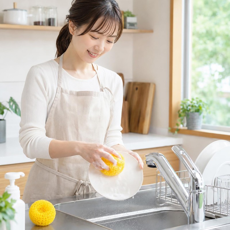 2pcs Nano Cleaning Ball Serving Cookware Ball Mesh Scrubber Sponge