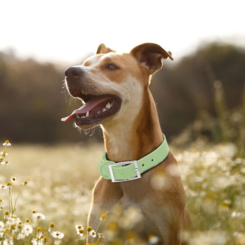 Wisedog Waterproof Dog Collar: Multiple Adjust 7" to 23.6", Soft