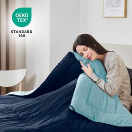 Nestl Comforter Duvet Insert 2 Piece, Quilted Down Alternative Comforter Twin XL Size with 1 Pillow Sham, All Season Blue/Light Blue Comforter Twin XL Duvet Inserts, Twin XL Comforter with Corner Tabs