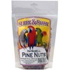 Sleek & Sassy Pine Nuts for Birds (10 oz.)