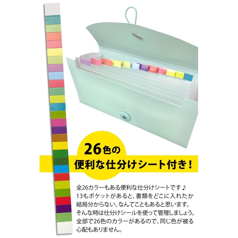 Taiko Document File (13 Pockets/Sorting Sheet) Receipt Storage (Clear White)