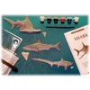 Skullduggery Eyewitness Shark Casting Kit