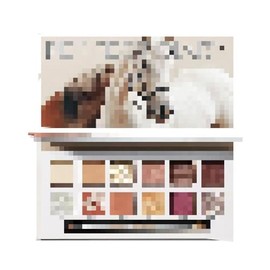 Perfect Diary Animal Eye Shadow Palette, Popular Eye Makeup, Gift, High Color & High Adhesion, Makeup Palette, 0.04 oz (1.2 g) x 12 Colors (Chestnut)