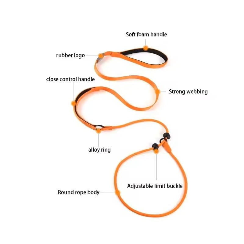 Arlinens Slip Lead For Dogs,Collar Dog Training Lead,1.6m Lightweight &