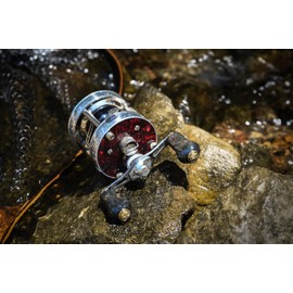 Gomex Wood Knob Reel Handle Knob Fits Shimano Shimano Daiwa Daiwa CQ BFS Vanquish Aeriity Replacement 22mm Knob Spinning Reel and Bait Reel Dual Axle Stream Fishing Trout