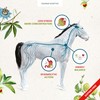Guidolin Horses Equibar Adaptive® Barretta funzionale per il benessere psico-fisico