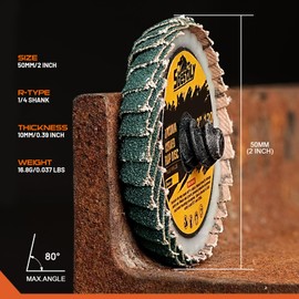 Sbestily 10PCS 40 Grit Curved Flap Disc 2 Inch Roll Lock Quick Change Sanding Discs 1pcs 1/4" Holder Surface Grinding Disc for Die Grinder Metal Surface Grind Burr Finish Weld Rust Paint Removal