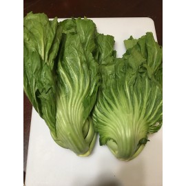 Unbranded 200+ SEEDSChinese  Mustard I Shuidong Gai Choi Shealihong I Buy 2 Get 1 Free