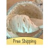 Great Grandmas EASY Sourdough Starter Heritage San Francisco - Live