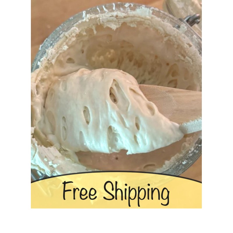 Great Grandmas EASY Sourdough Starter Heritage San Francisco - Live