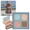 MilleFée My Kitty Eye Palette (07 American Short Hair) Cat