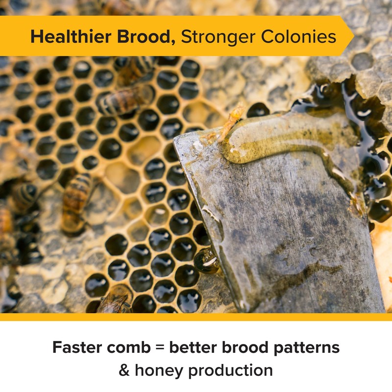 Mann Lake 5 5/8" Waxed Black Rite-Cell Foundation Sheets, Made