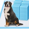 Gimars 4XL 36x36 Dog Pee Pads Extra Large - 200