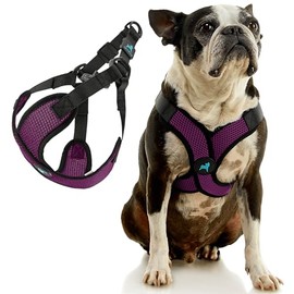 Gooby Comfort X Step in Lite Dog Harness - Choke Free, Escape Free with Light Breathable Mesh - Step in Dog Harness for Small and Medium Dogs - Quick Release Buckle, Metal D-Rings - Purple, X-Small