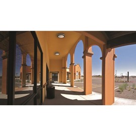 Lithonia Lighting Cast OLCFM 15 DDB Ceiling Flush Mount Outdoor LED Decorative Light Fixture for Porch, Patio, Garage, Sidewalk, and Walkway Black Bronze, Pack of 1