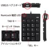 Sanwa Supply NT-18UH2BK Numeric Keypad with USB 2.0 Hub, Black