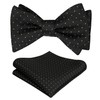 Alizeal Mens Polka Dot Self Tied Bow Tie and Pocket