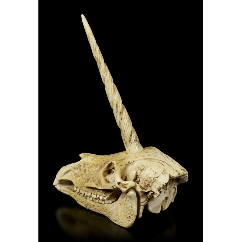 Figuren Shop GmbH Unicorn Fantasy Skull | Gothic Head Sculpture,