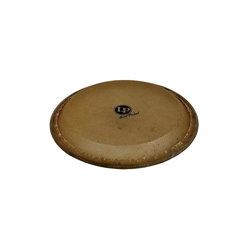 Conga Head LP274C, 12 1/2", Galaxy