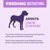 YOUR PET'S KITCHEN Wet Dog Food, Turkey Fare Recipe -