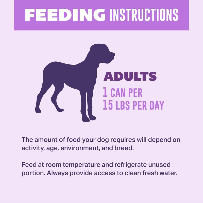 YOUR PET'S KITCHEN Wet Dog Food, Turkey Fare Recipe -