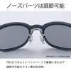 SWANS DF-Pathway Lifestyle Model Sunglasses
