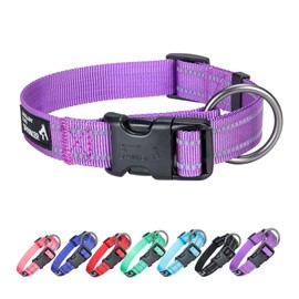 EXCELLENT ELITE SPANKER Nylon Dog Collar, Adjustable Reflective Dog Collar, Dog Collar for Small Dogs for Training, Running (PLU, L)