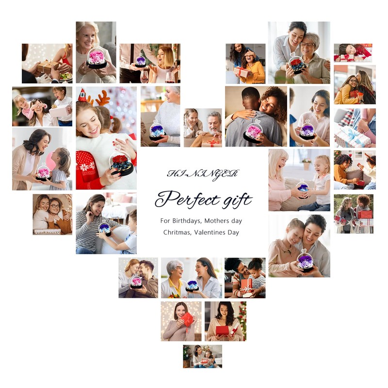 Preserved Pink Real Rose with LED Light eternal flowers rose