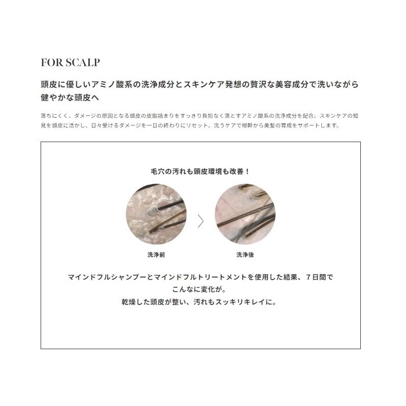 SINN PURETE Mindful Shampoo/Treatment (Shampoo)