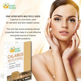 Herbs Botanica Calamus Powder 100% Pure & Organic Acorus Calamus Root Powder for Herbal Tea, Wellness & DIY Use Finely Ground, Non-GMO & Additive Free 2 oz Pack