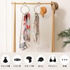 TVETE [Set of 2, Gold] S-Shaped Hook, Twist, S-Shaped Hanger,