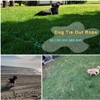 BTINESFUL 8ft 12ft 20ft 30ft 50ft 75ft Dog Tie Out