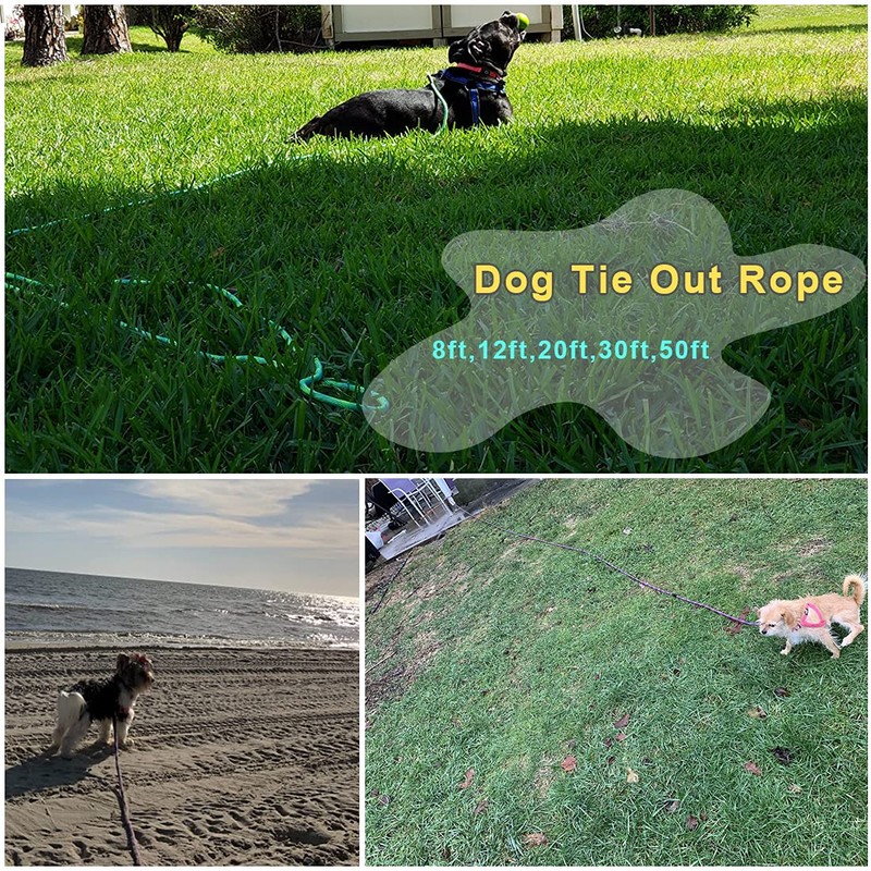BTINESFUL 8ft 12ft 20ft 30ft 50ft 75ft Dog Tie Out
