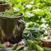 Hofmeister Holzwaren, cucumber pot, cucumber pot with lid, 2 liter,