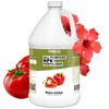 All Purpose NPK Fertilizer, Complete NPK Liquid Plant Food for