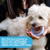 Sweet Paws Puppy Teething Bracelet Stack - Wearable Silicone Dog