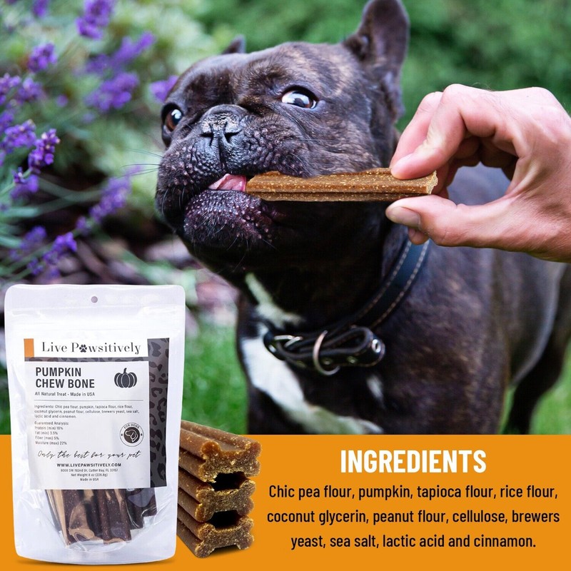 Live Pawsitively Pumpkin Dental Chews For Dogs Made in USA,