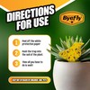 ByeFly Fruit Fly & Gnat Traps 30 Pack - Non-Toxic