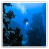Square Stickers (Set of 2) 10cm - Underwater Scuba Diver