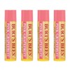 Burt's Bees Bálsamo labial hidratante de pomelo rosa, 0.15 onzas