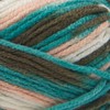 LION BRAND YARN COMPANY Yarn Basic Stitch GRO, Meadow Grove
