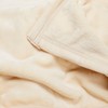 Soft Sentiments Outrageously Soft Reversible Velvet Ultra Plush Throw -