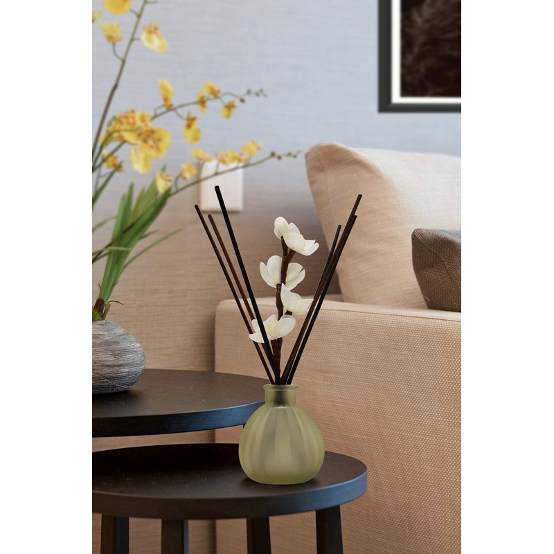 25pcs Black and 25pcs White Rattan Reed Diffuser Sticks Replacement