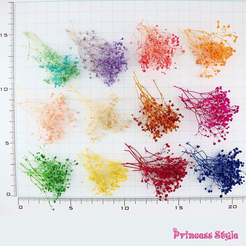 Mini Baby's-Breath Dried Flowers