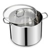 20 QT Stainless Steel Large Stock Pot, LIANYU Heavy Stockpot with Glass Lid, Deep Soup Canning Pot for Stewing Simmering, Tri-ply Base for Induction, Halogen Cooktops, Dishwasher Safe