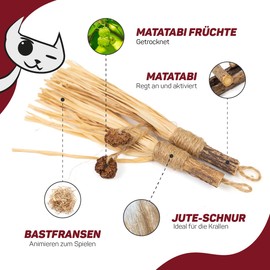 CanadianCat Company Cat Toy Matatabi Sticks with Raffia (Pack of 2)