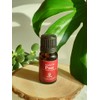 Biozone Cosmetic Green Peel Aroma Essential 100% Natural Oil Fine