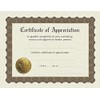Great Papers! Ready-to-Use Certificates, Appreciation, 11 X 8.5, Ivory/Brown/Gold Colors