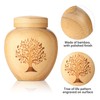 HOOMTREE Small Urns for Human Ashes Keepsake Set of 1,Mini